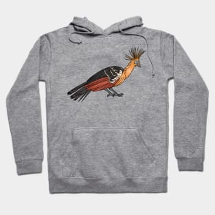 Hoatzin bird cartoon illustration. Hoodie